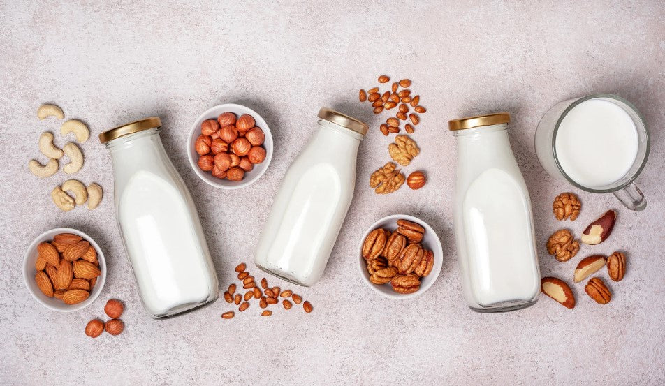 Tout savoir sur le lait végétal