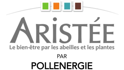 Aristée