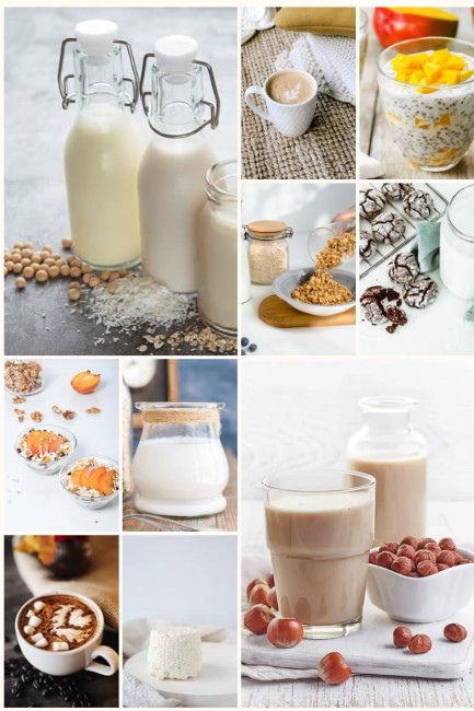Recette Lait végétal maison: comment faire soi-même ses laits végétaux